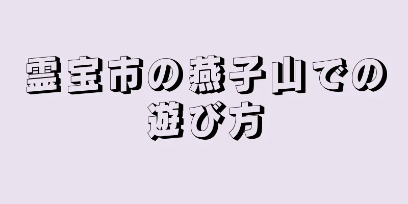 霊宝市の燕子山での遊び方