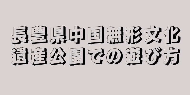 長豊県中国無形文化遺産公園での遊び方
