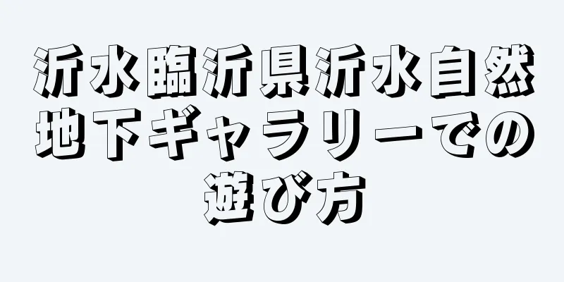 沂水臨沂県沂水自然地下ギャラリーでの遊び方