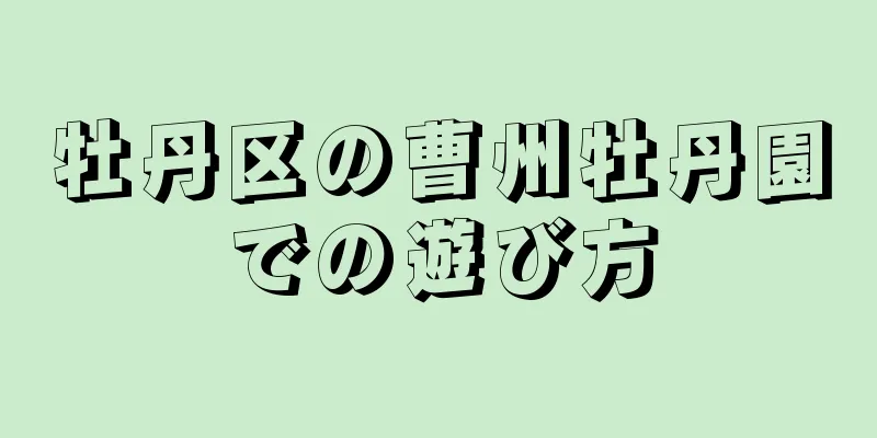 牡丹区の曹州牡丹園での遊び方