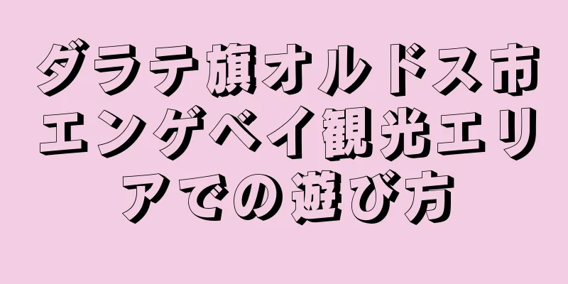 ダラテ旗オルドス市エンゲベイ観光エリアでの遊び方