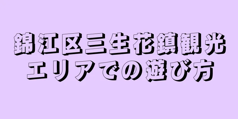 錦江区三生花鎮観光エリアでの遊び方