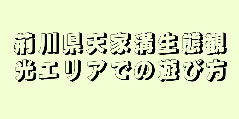 荊川県天家溝生態観光エリアでの遊び方