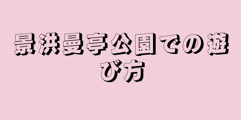 景洪曼亭公園での遊び方
