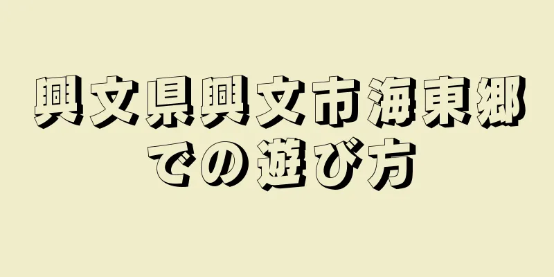 興文県興文市海東郷での遊び方