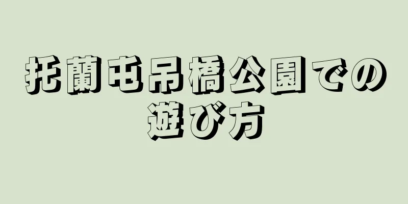 托蘭屯吊橋公園での遊び方