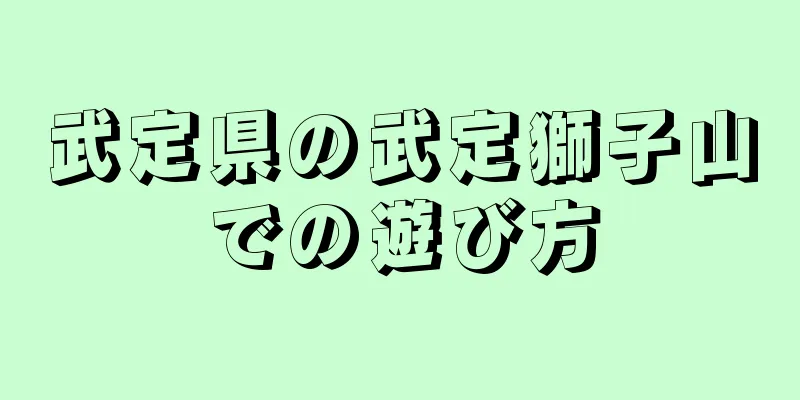 武定県の武定獅子山での遊び方