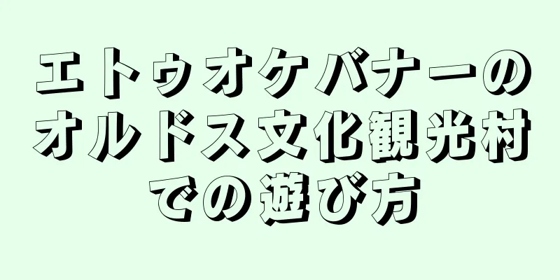 エトゥオケバナーのオルドス文化観光村での遊び方