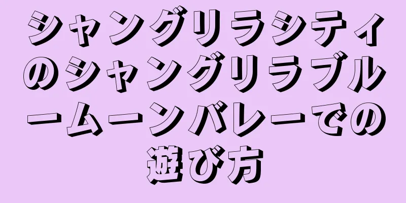 シャングリラシティのシャングリラブルームーンバレーでの遊び方