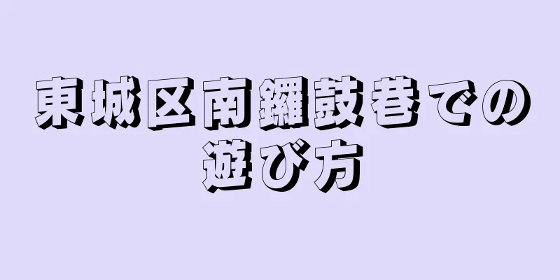 東城区南鑼鼓巷での遊び方