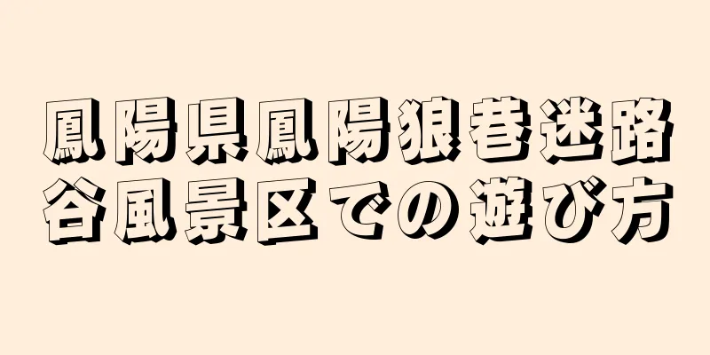 鳳陽県鳳陽狼巷迷路谷風景区での遊び方