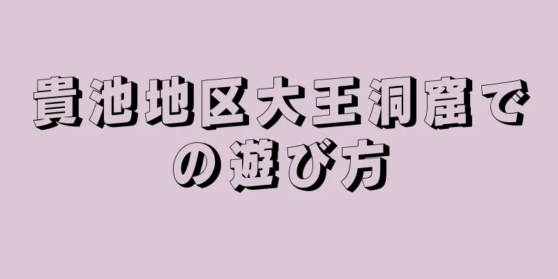 貴池地区大王洞窟での遊び方