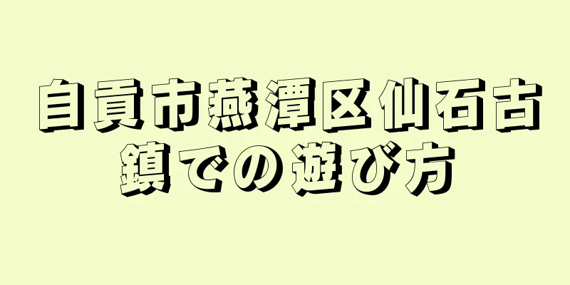 自貢市燕潭区仙石古鎮での遊び方