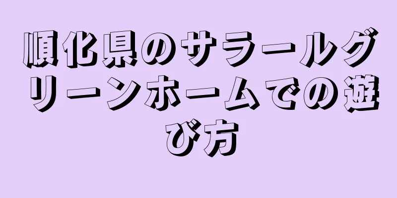順化県のサラールグリーンホームでの遊び方