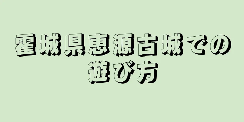 霍城県恵源古城での遊び方