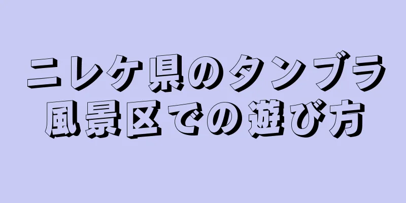 ニレケ県のタンブラ風景区での遊び方