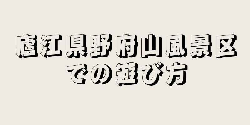 廬江県野府山風景区での遊び方