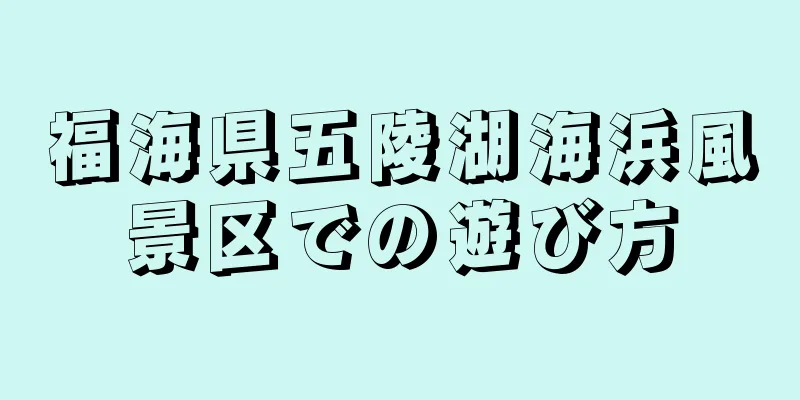福海県五陵湖海浜風景区での遊び方