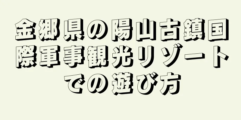 金郷県の陽山古鎮国際軍事観光リゾートでの遊び方
