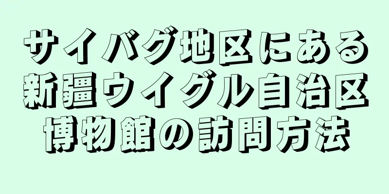 サイバグ地区にある新疆ウイグル自治区博物館の訪問方法