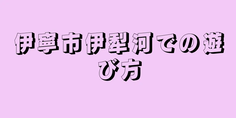 伊寧市伊犁河での遊び方