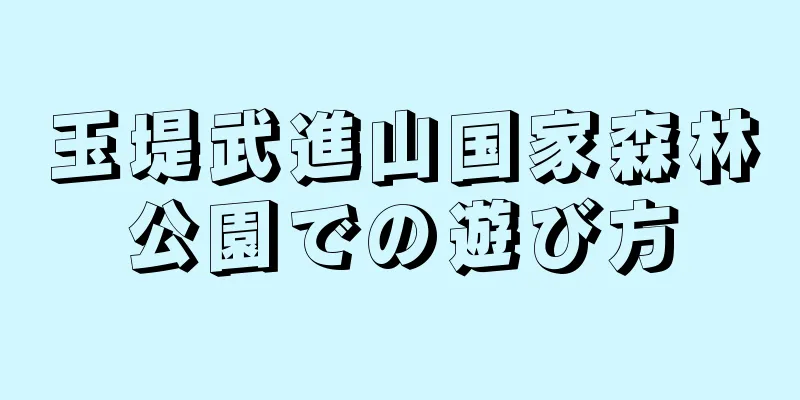 玉堤武進山国家森林公園での遊び方