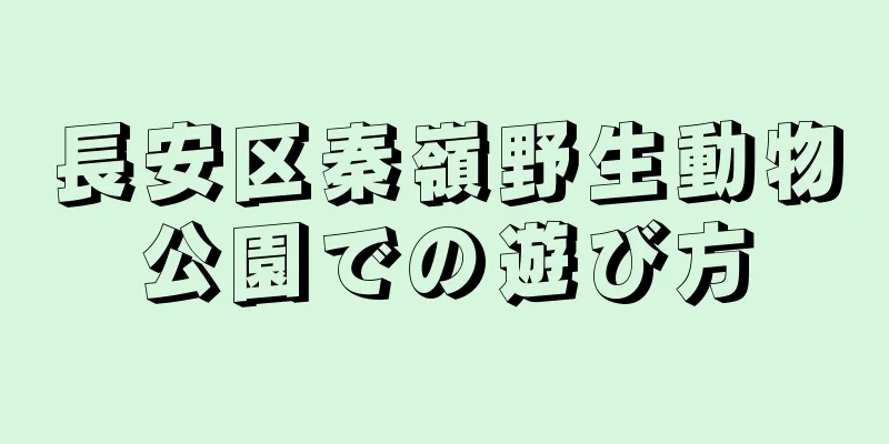 長安区秦嶺野生動物公園での遊び方