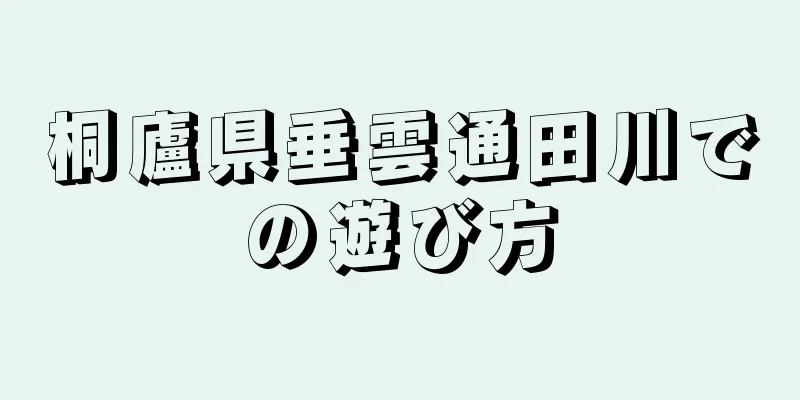 桐廬県垂雲通田川での遊び方