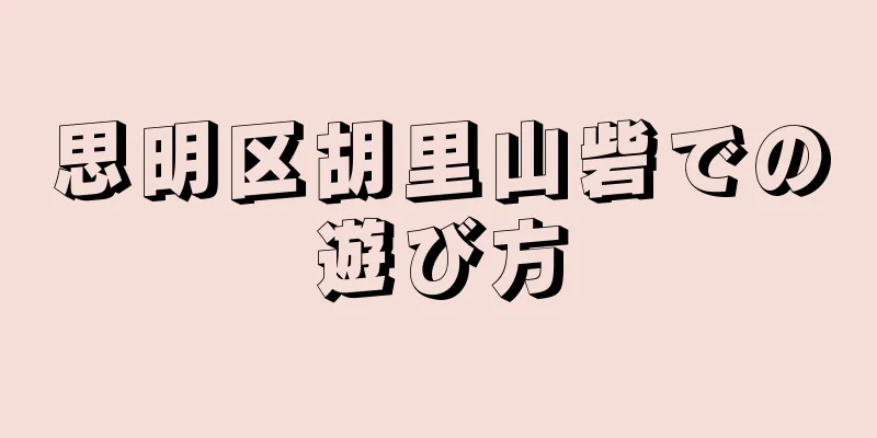 思明区胡里山砦での遊び方
