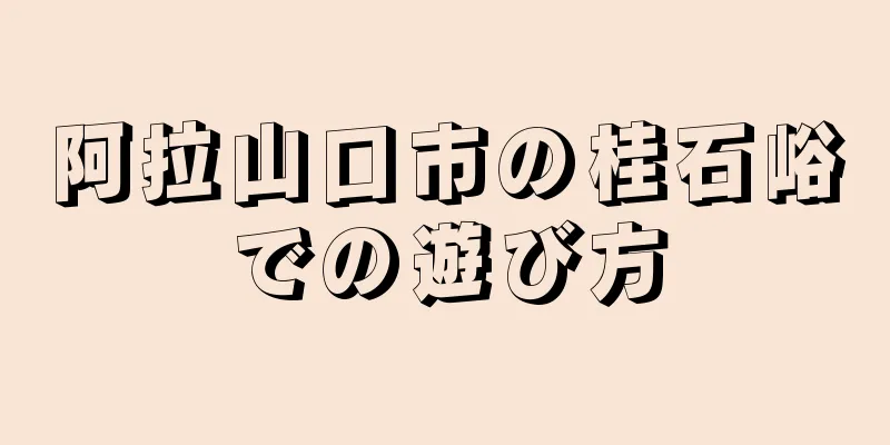 阿拉山口市の桂石峪での遊び方