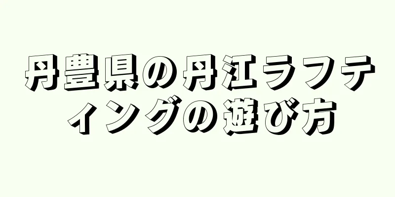 丹豊県の丹江ラフティングの遊び方