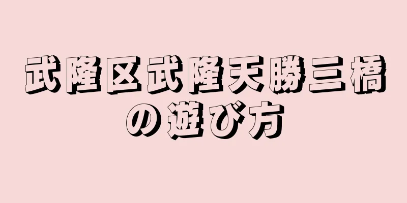 武隆区武隆天勝三橋の遊び方