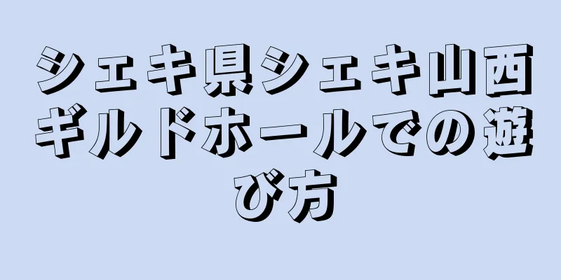 シェキ県シェキ山西ギルドホールでの遊び方