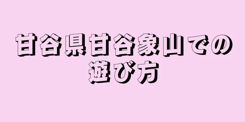甘谷県甘谷象山での遊び方