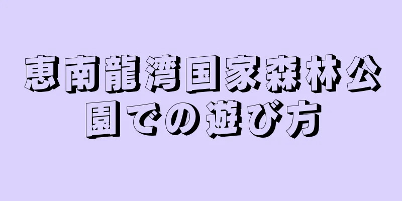 恵南龍湾国家森林公園での遊び方