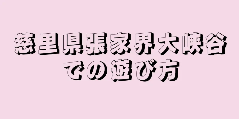 慈里県張家界大峡谷での遊び方