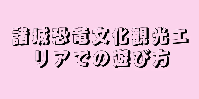 諸城恐竜文化観光エリアでの遊び方