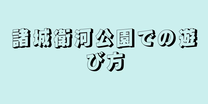 諸城衛河公園での遊び方