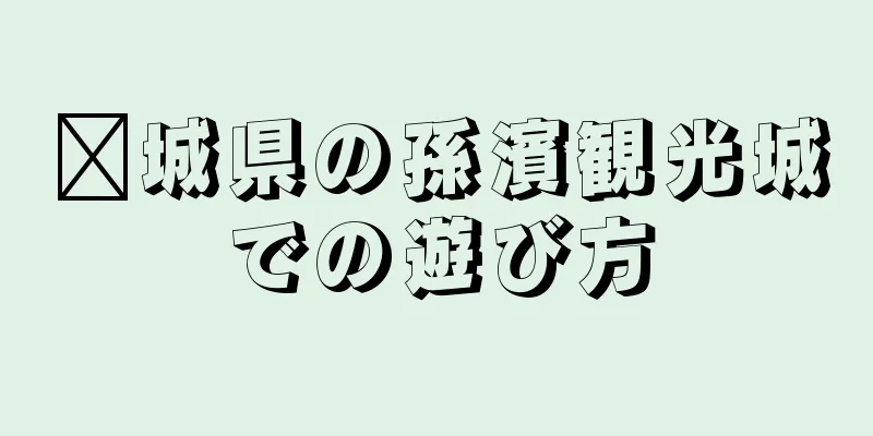 莒城県の孫濱観光城での遊び方