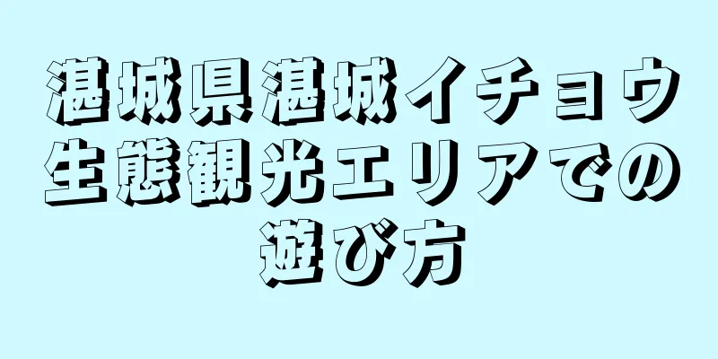 湛城県湛城イチョウ生態観光エリアでの遊び方