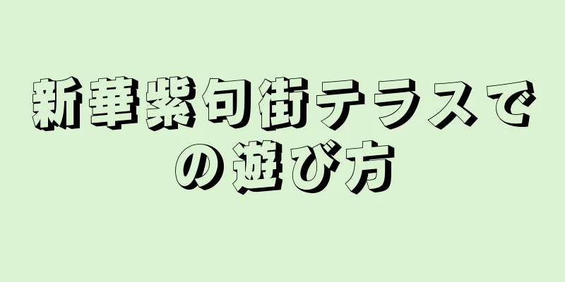 新華紫句街テラスでの遊び方