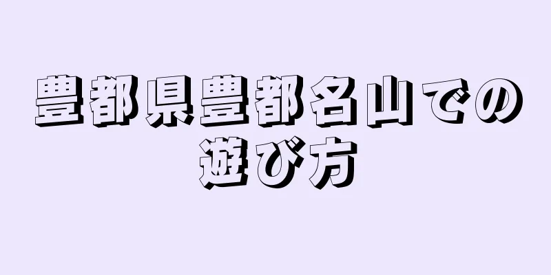 豊都県豊都名山での遊び方