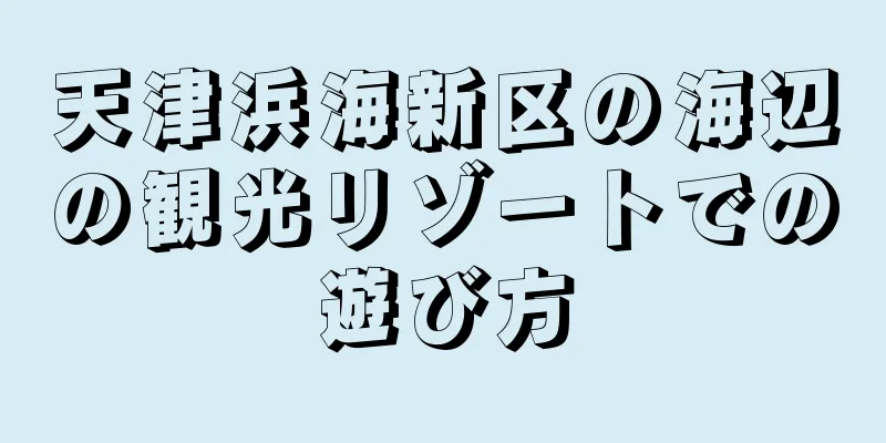 天津浜海新区の海辺の観光リゾートでの遊び方