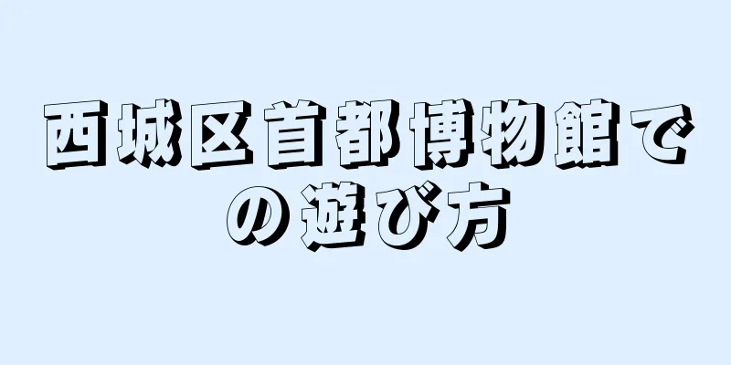 西城区首都博物館での遊び方