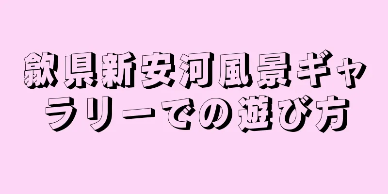 歙県新安河風景ギャラリーでの遊び方