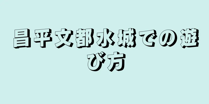 昌平文都水城での遊び方