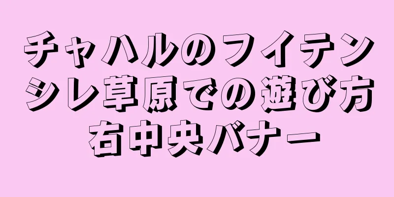 チャハルのフイテンシレ草原での遊び方 右中央バナー