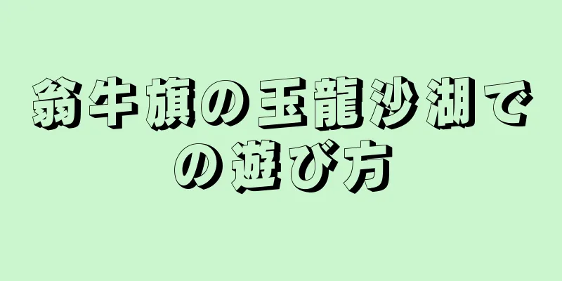 翁牛旗の玉龍沙湖での遊び方