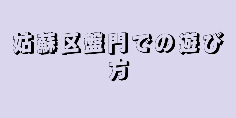 姑蘇区盤門での遊び方