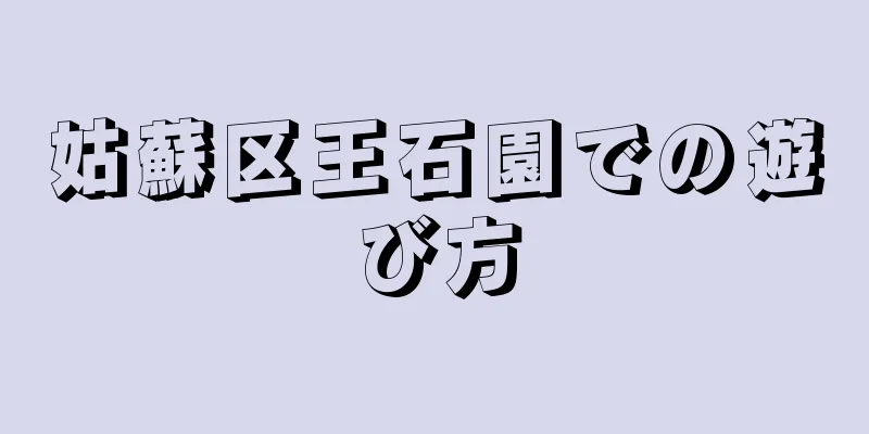 姑蘇区王石園での遊び方